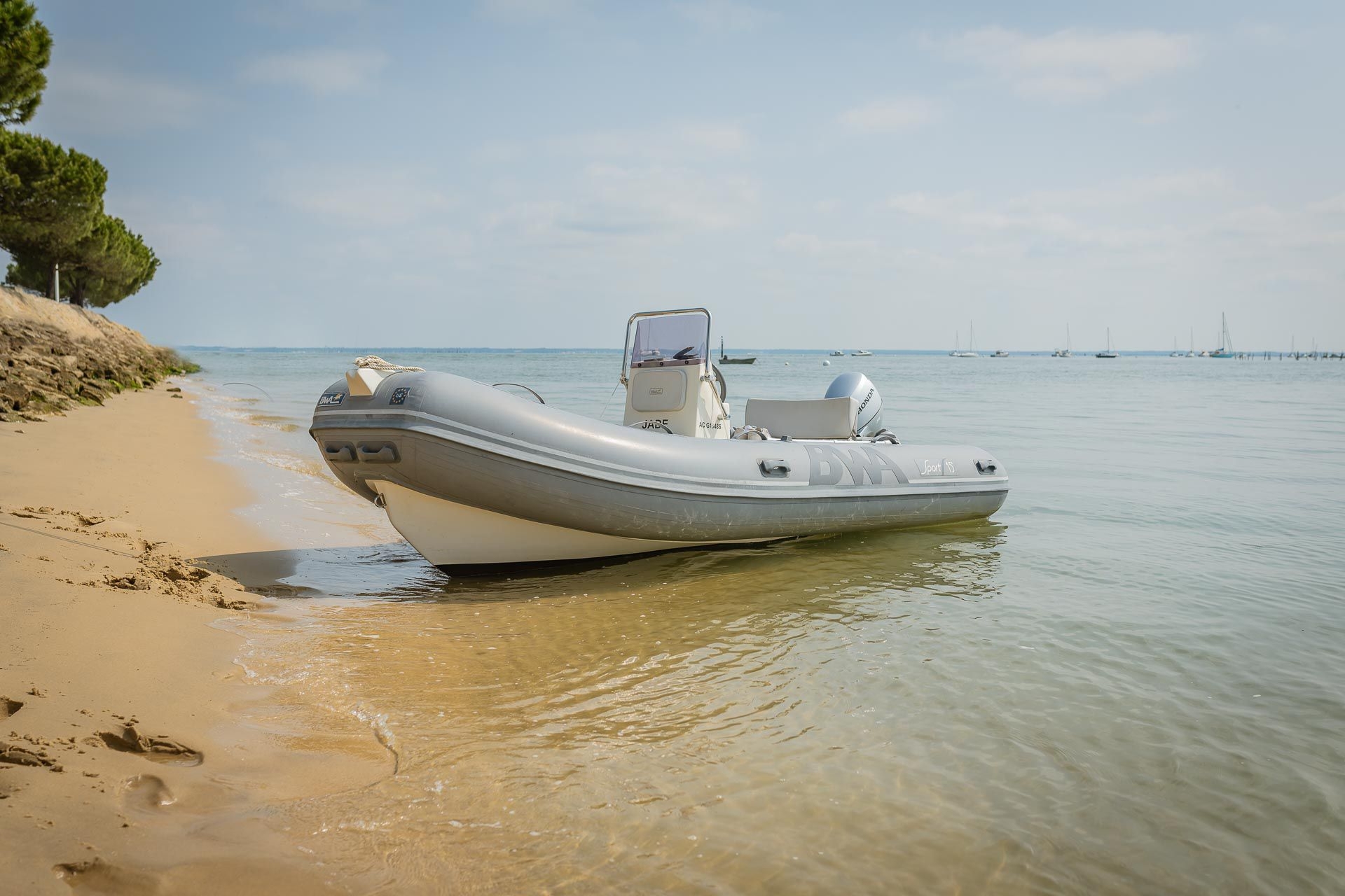 main picture announcement