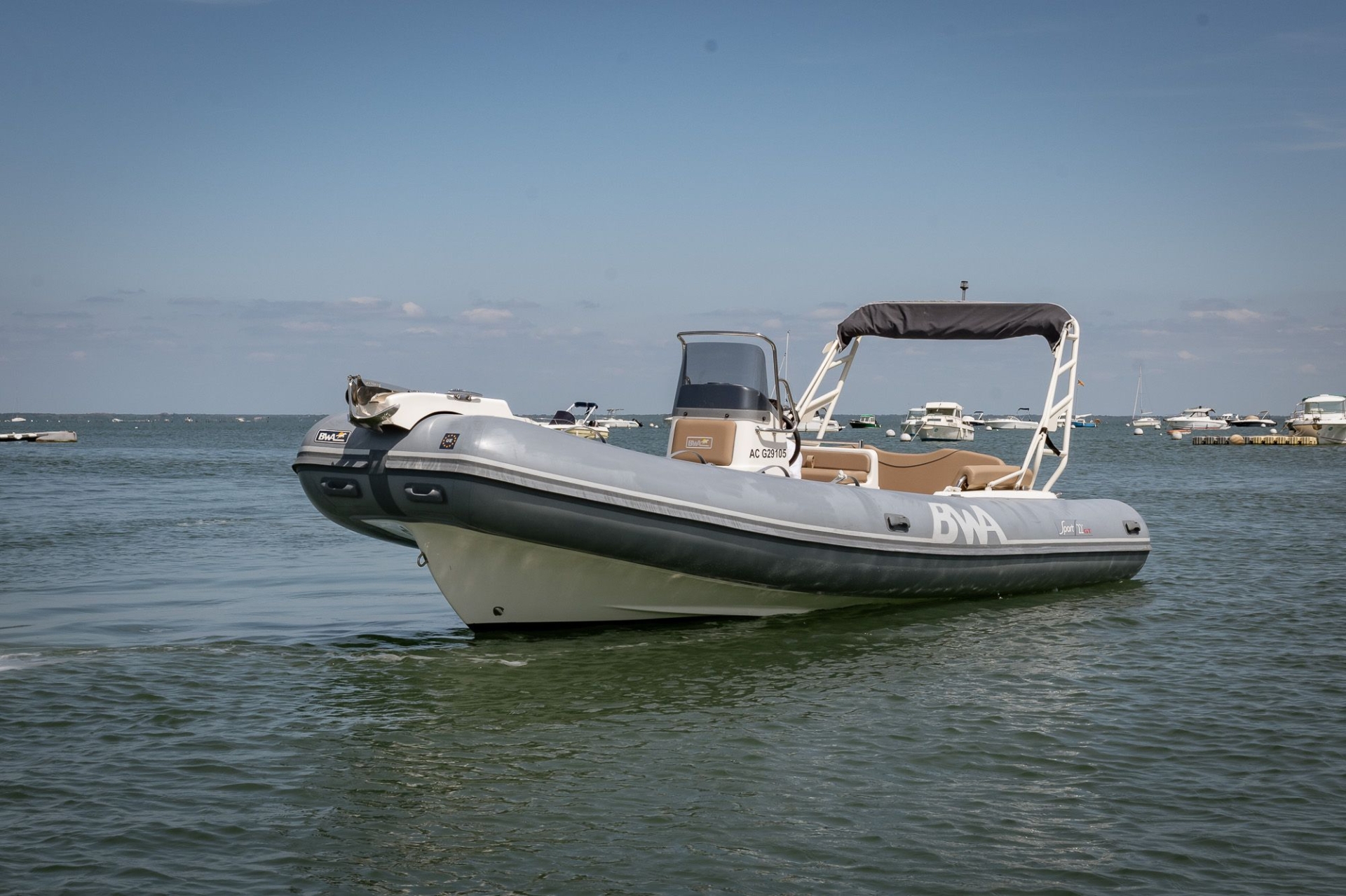 main picture announcement