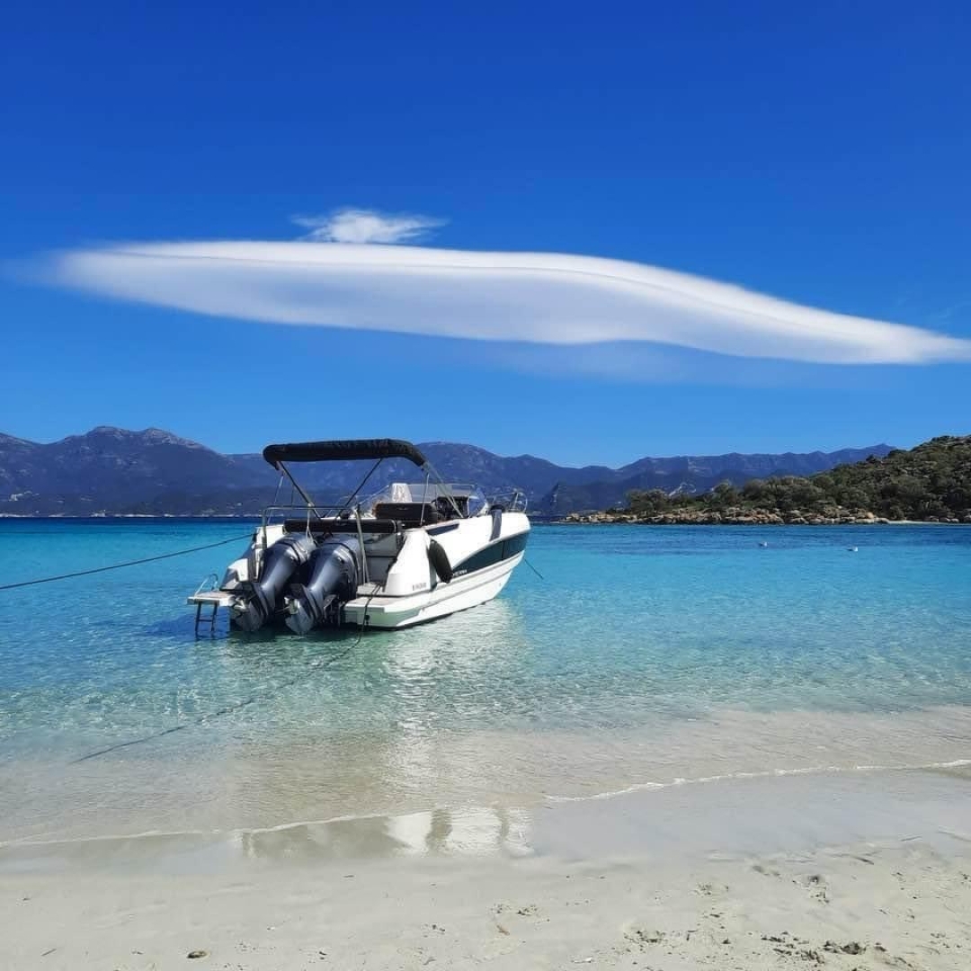 main picture announcement