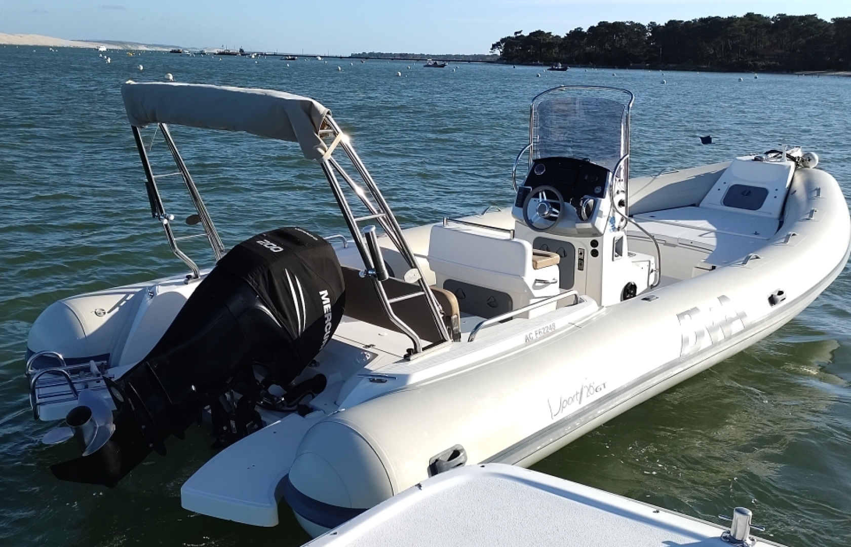 main picture announcement