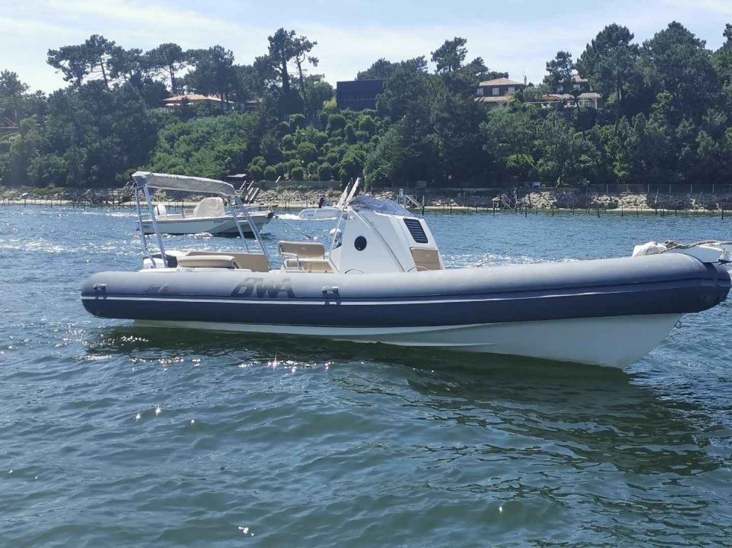 main picture announcement