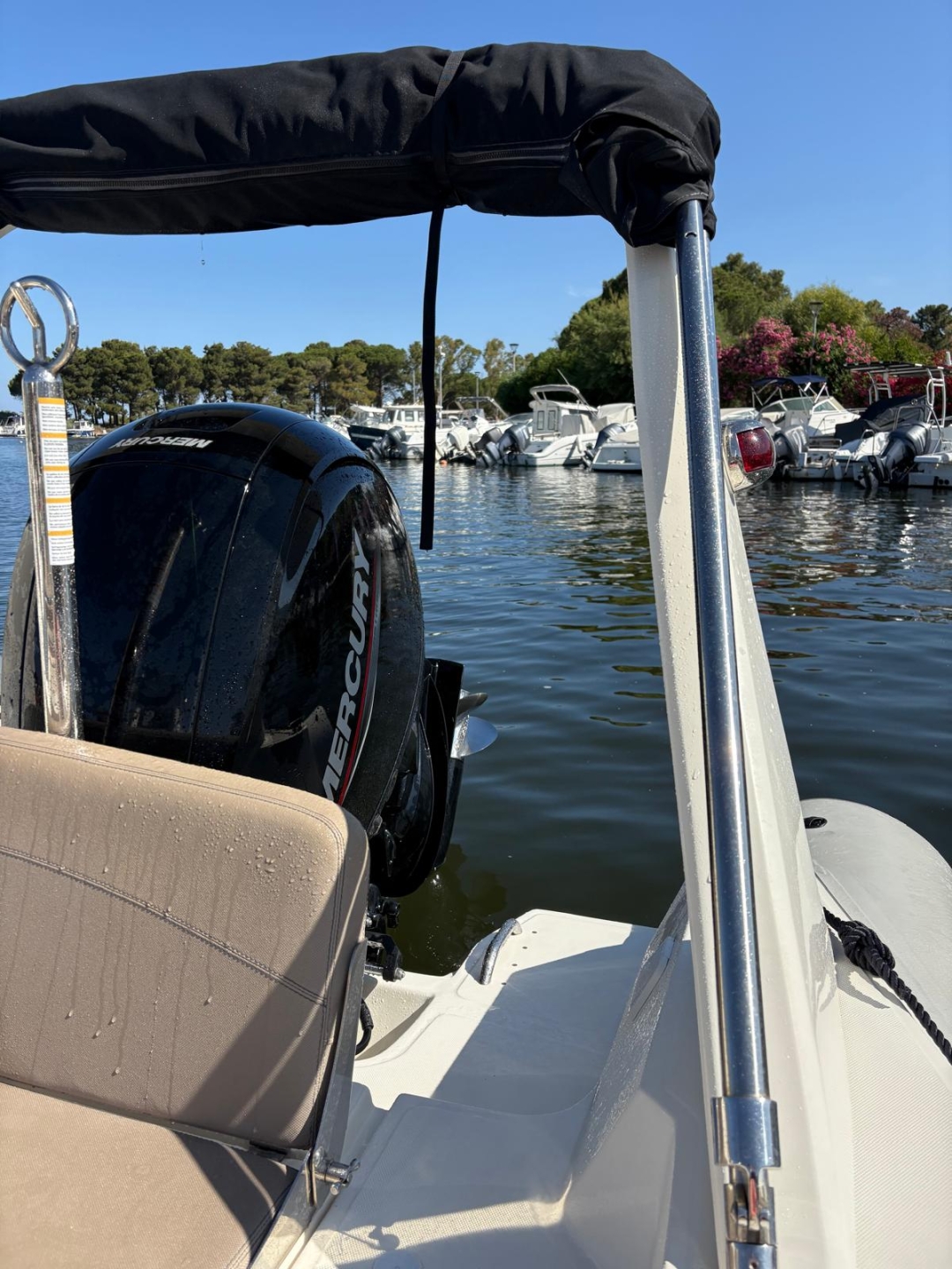 announcement-picture-5