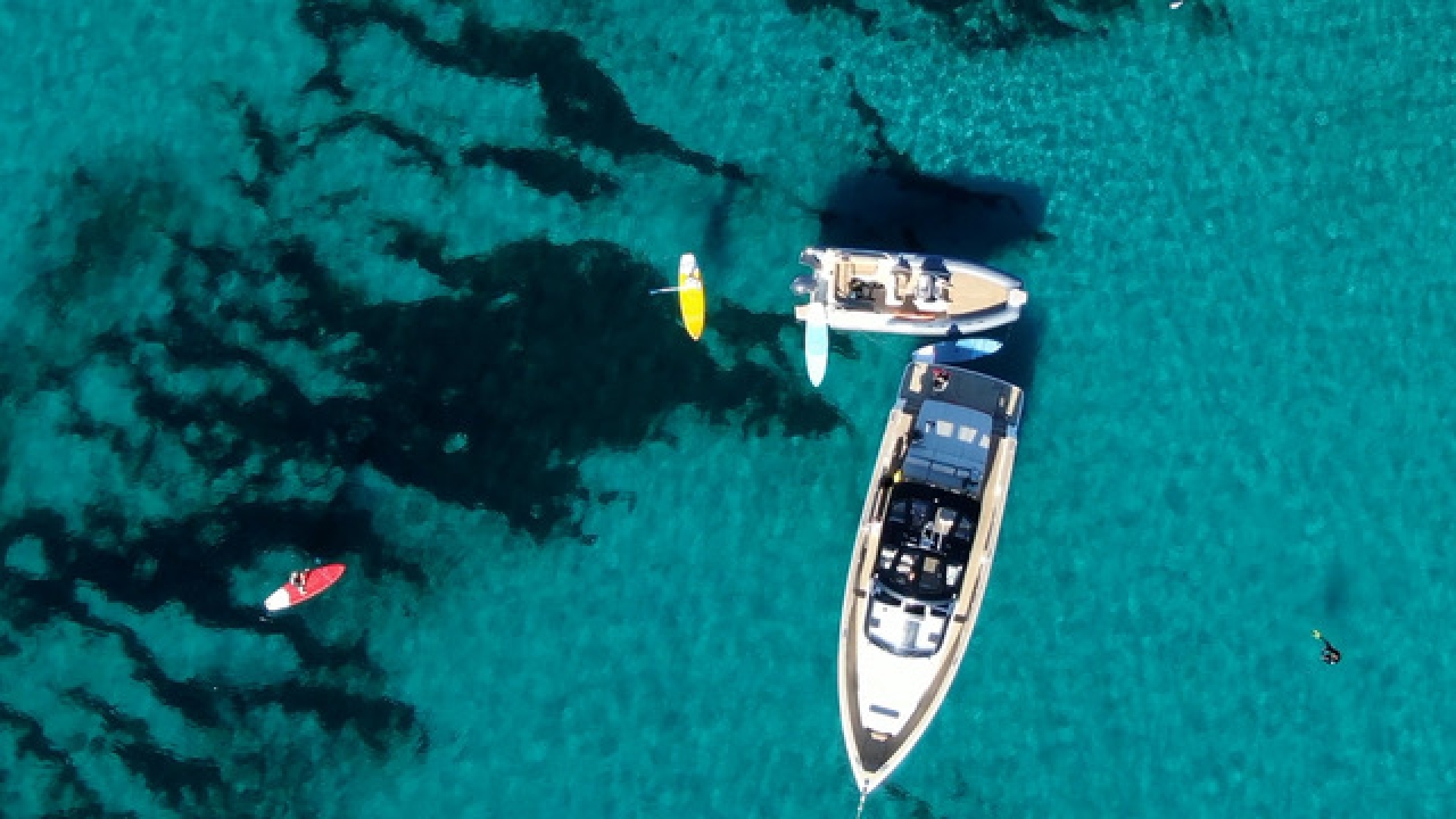 Picture 8 of announcement 20312