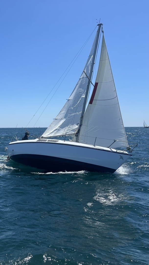 main picture announcement