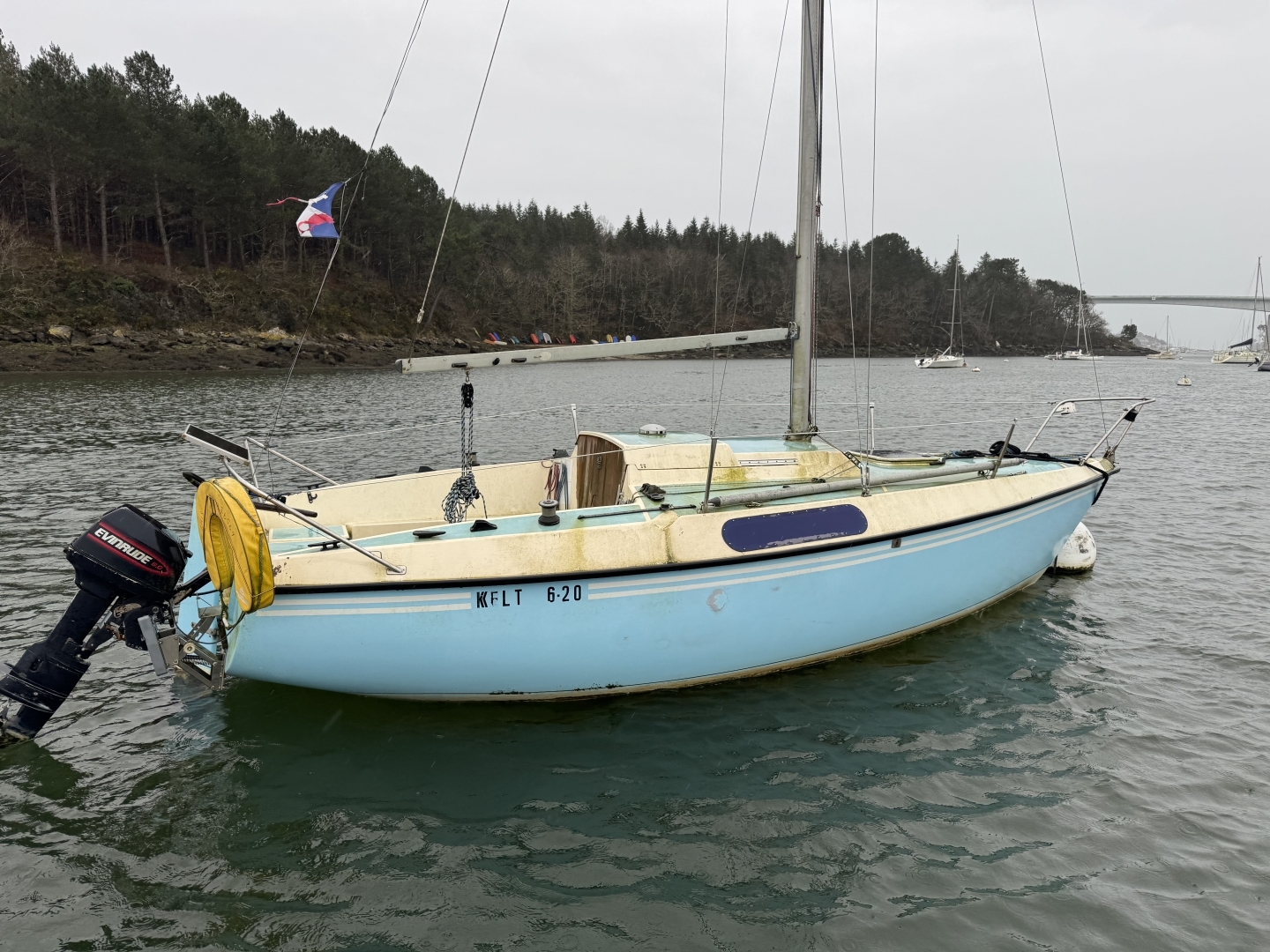 main picture announcement