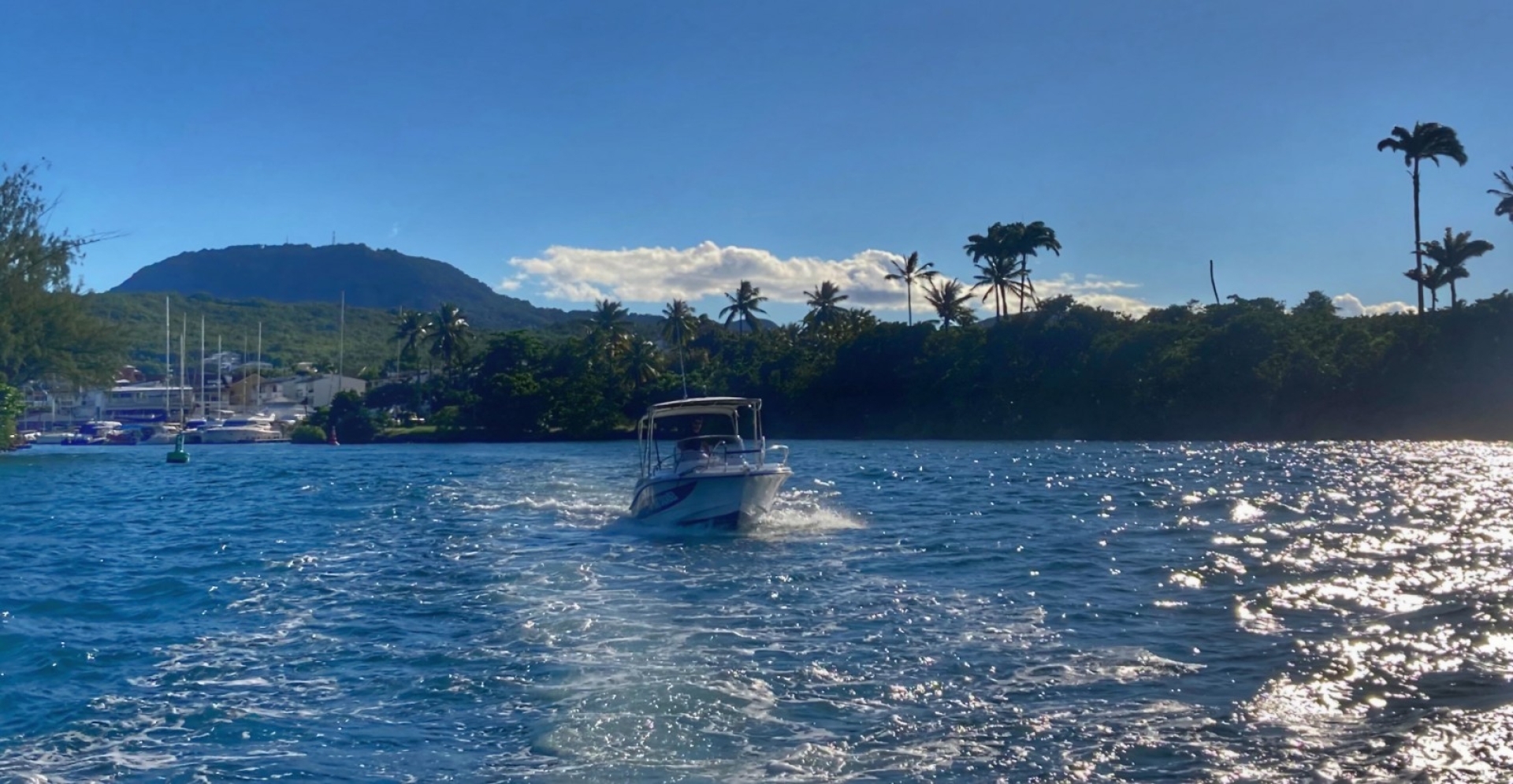 Picture 3 of announcement 21717