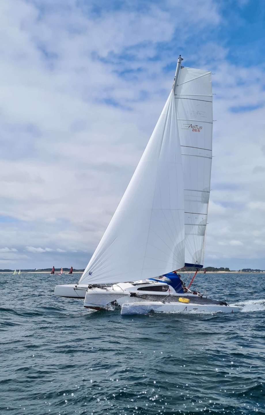 Picture 3 of announcement 22171