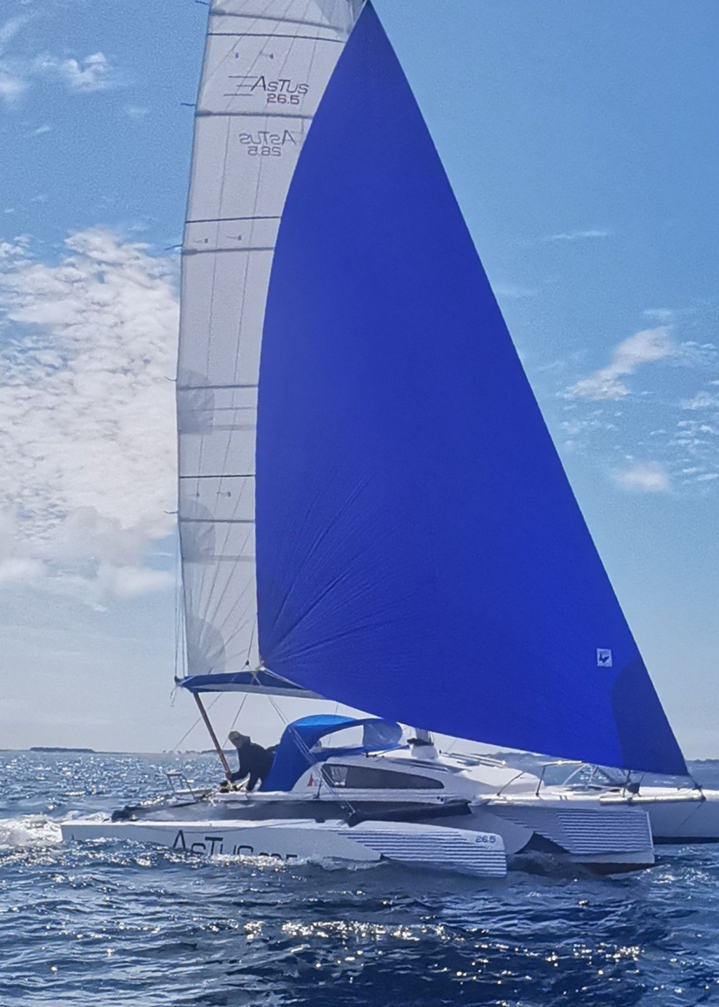 Picture 5 of announcement 22181