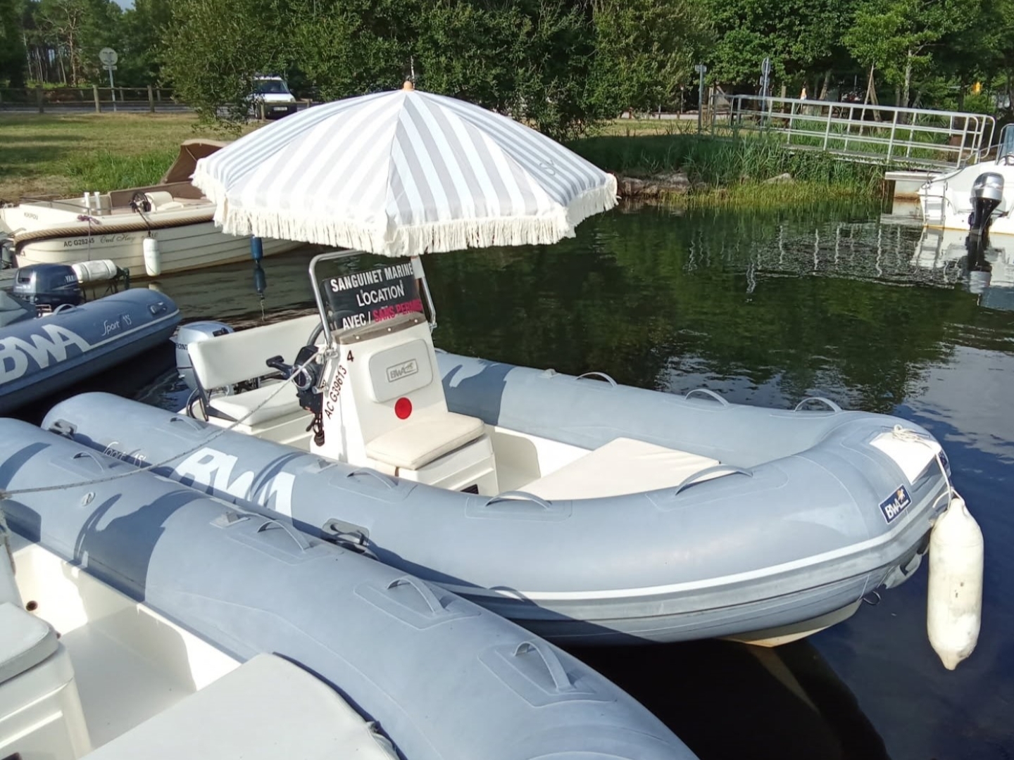 main picture announcement