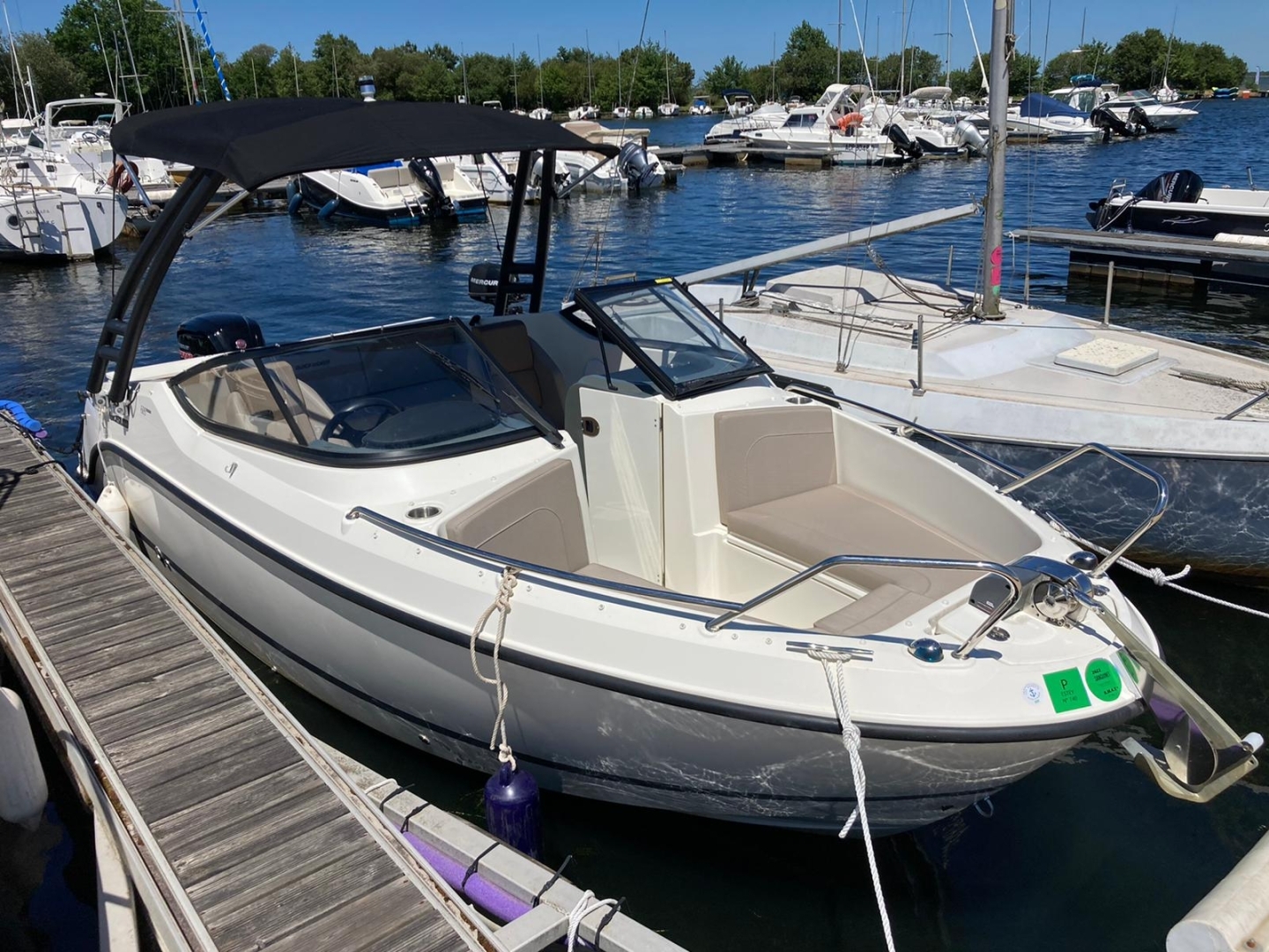 main picture announcement