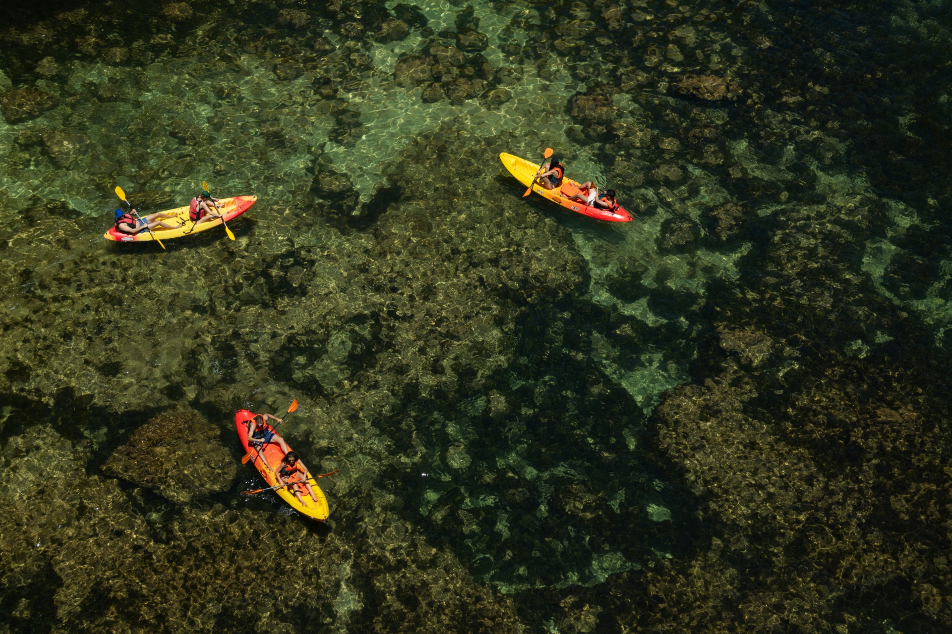 Picture 2 of announcement 22905