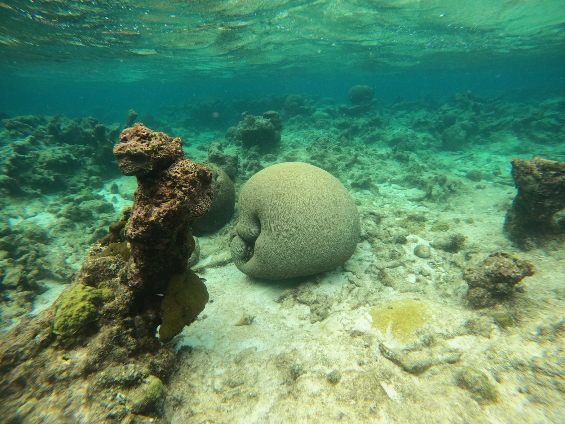 Picture 5 of announcement 22927