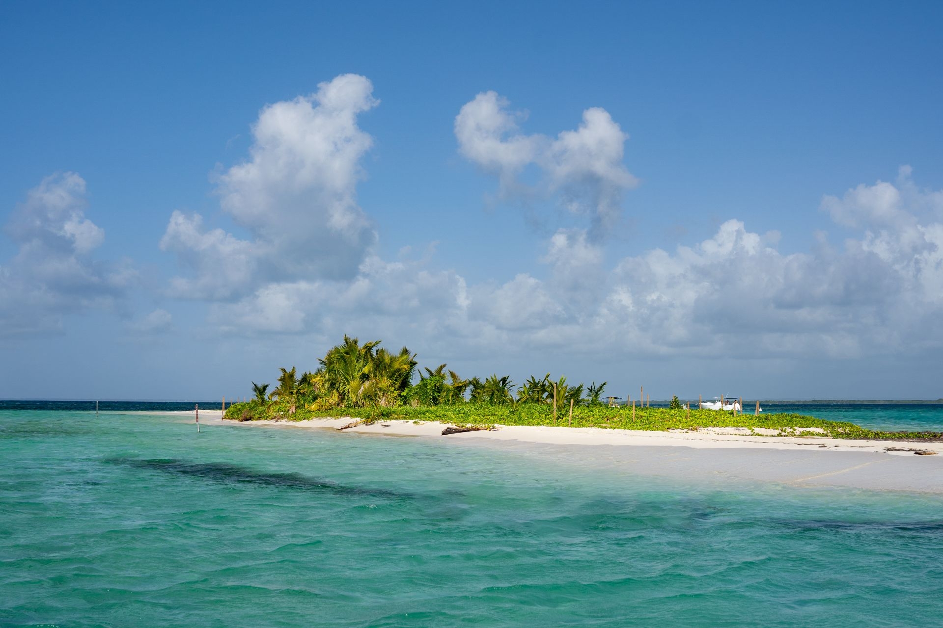 Picture 8 of announcement 22930