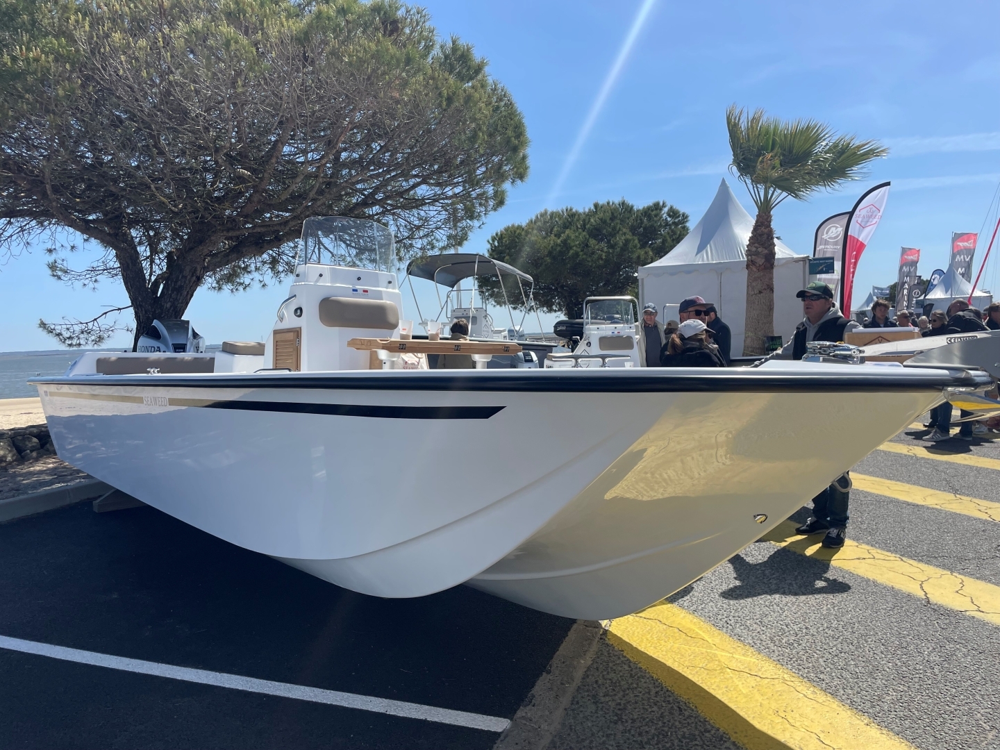 Picture 9 of announcement 25280