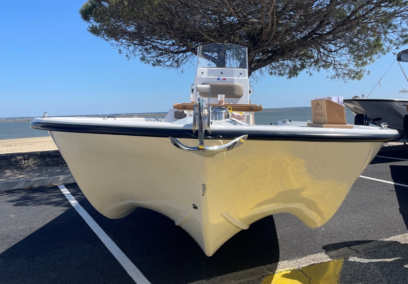 Picture 10 of announcement 25281