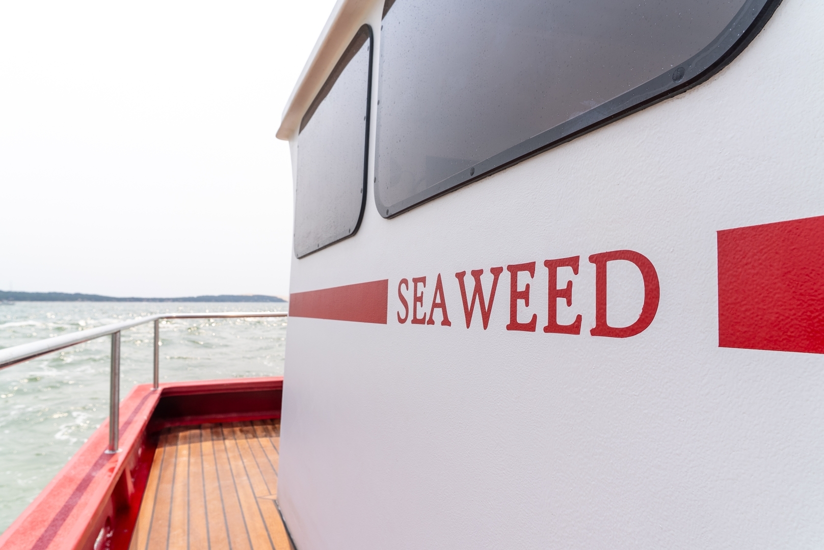 Picture 11 of announcement 25298