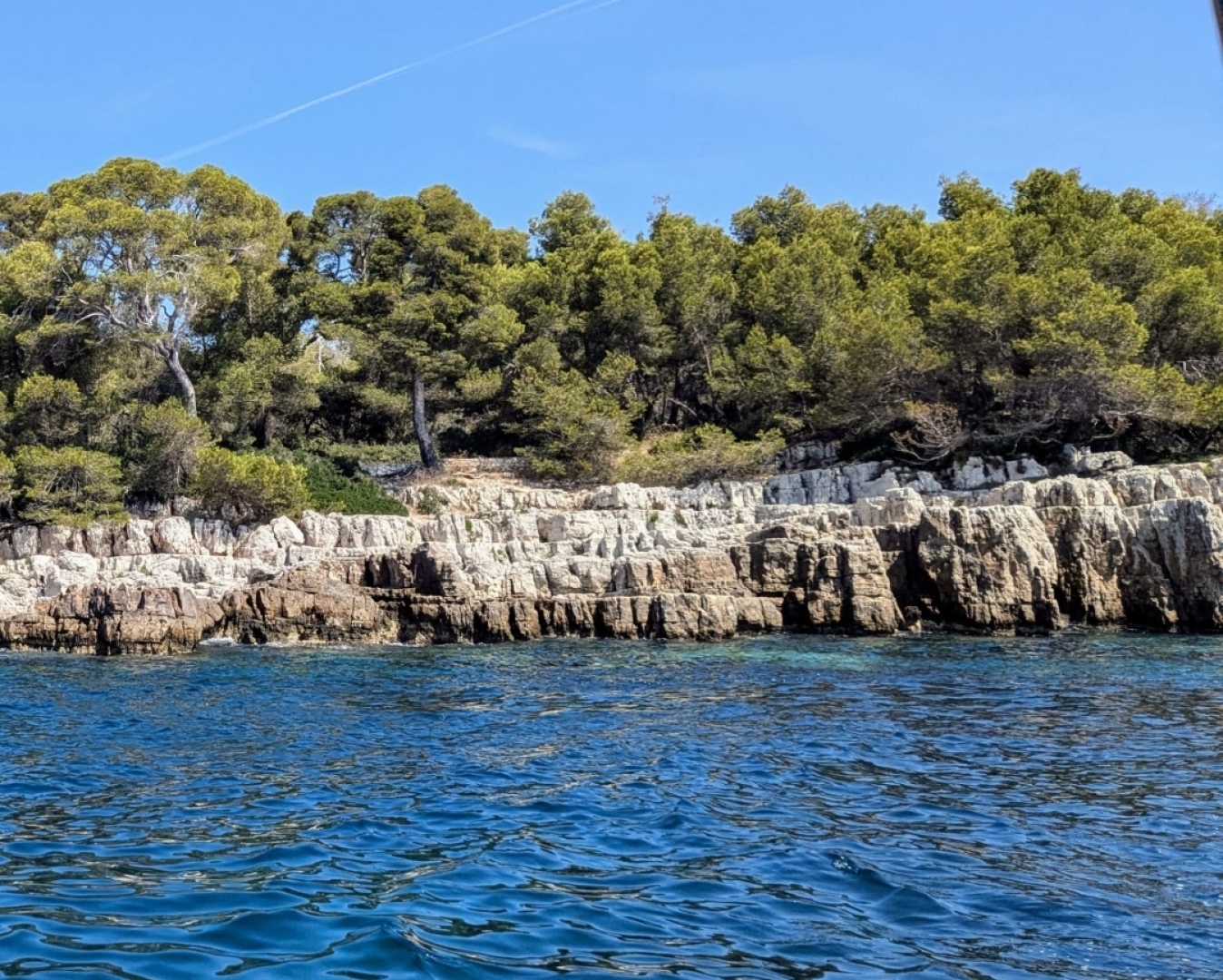 Picture 30 of announcement 27705