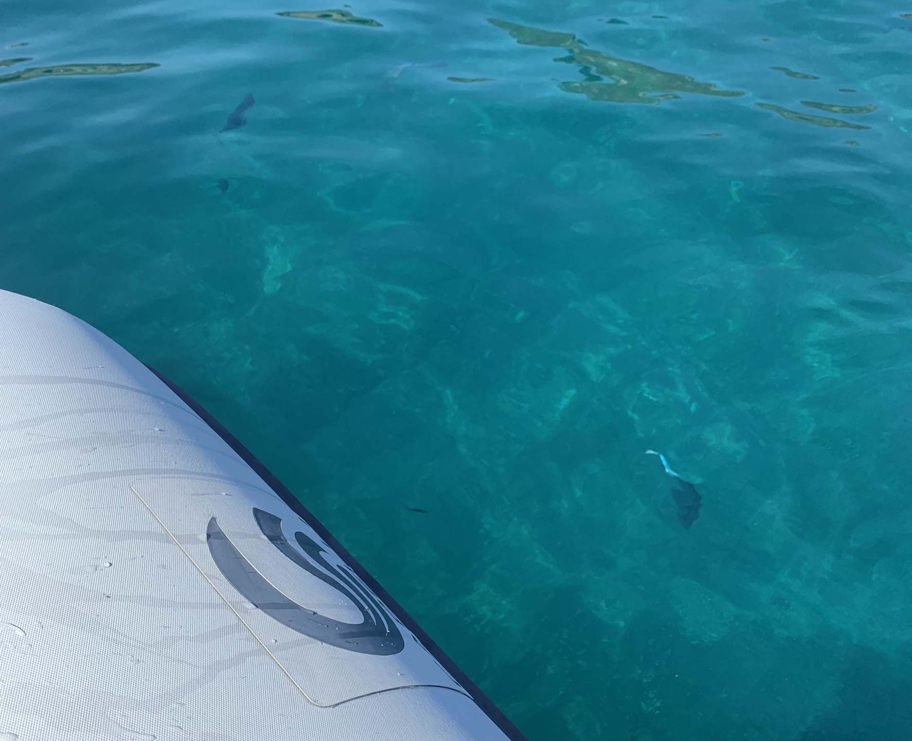 Picture 13 of announcement 28520